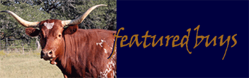See our current Featured Buys!