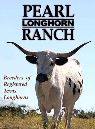 Welcome to Pearl Longhorn Ranch - Breeders of Registered Texas Longhorns specializing in Long Horns, Deep Bodies, and Proud Pedigrees!